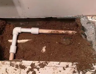 梅县测漏水哪家好