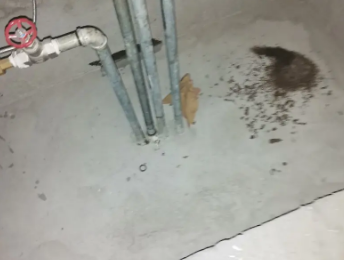 梅县卫生间测漏水价格明细